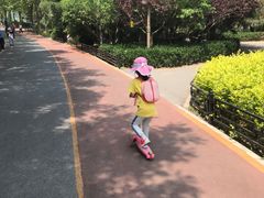 -大兴滨河森林公园