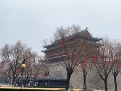 -魏家凉皮(博水商务大厦店)