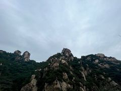 -大岭沟猕猴桃谷风景区