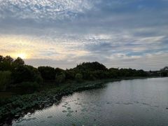 -上海怡沁园度假酒店