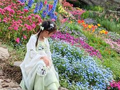 -苏州上方山国家森林公园
