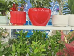 -大润发(浒关店)