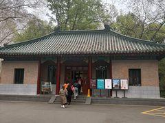 -灵谷景区