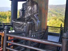 -大唐贡茶院