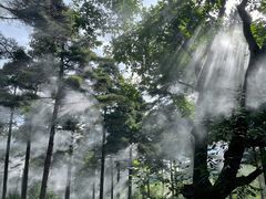 -洛阳白云山景区