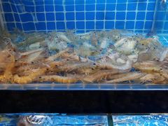 -佰园全日西餐厅-厦门佰翔软件园酒店