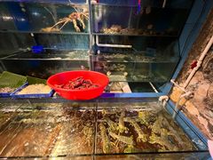 水产区-辉记炭烧海鲜大排档·老字号(福田店)