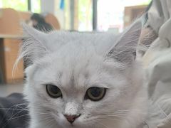 -联合动物医院(光谷诊疗中心)