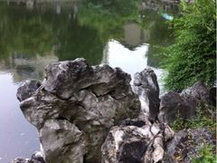 iphone_upload_pic-郑和公园