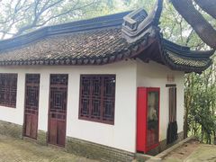 -上海佘山国家森林公园天马山园