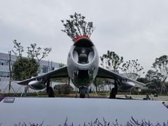 -成飞公园