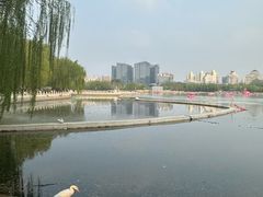 -莲花池公园