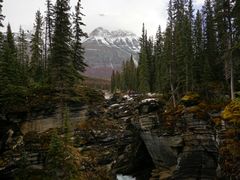 -阿萨巴斯卡瀑布观景点