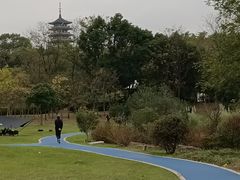 -宜兴龙背山森林公园