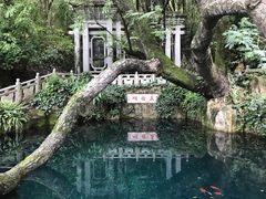-蝴蝶泉公园