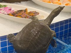 -東大方(安吉灵芝店)