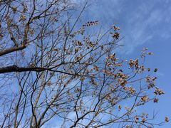 -白塘生态植物园