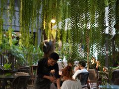 -Fern Forest Cafe