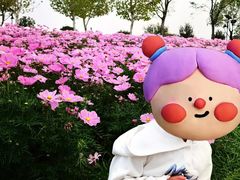 -花博汇(知音花月夜)