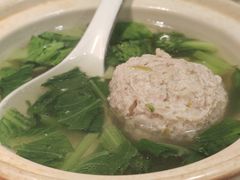 -丁老爷子苏香圆