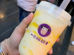 -一只酸奶牛(奎星楼店)