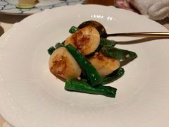 -西郊5号·Maggie 5