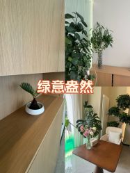 -卡尔诗·科技美肤连锁