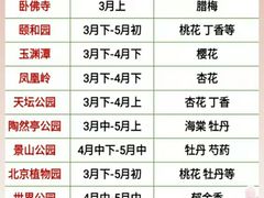 -沉浸北京·团建旅行·密室剧本杀·年会会议轰趴拓展