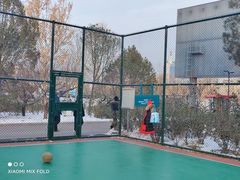 -莲花池公园
