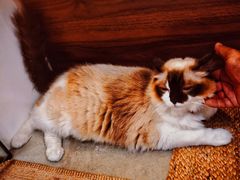 -seeu coffee(江滩店)