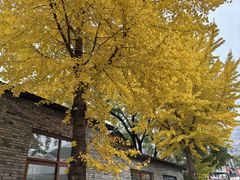 -狼牙山风景区