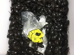 -十四涌水产中心