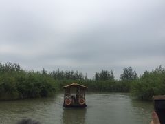 -泗洪洪泽湖湿地景区