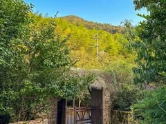 -看见远方·莫干遥远的山民宿