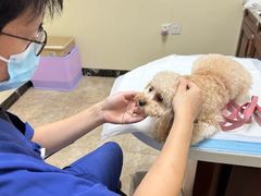 -美联众合动物医院·24h转诊中心