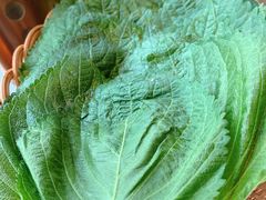 苏子叶-一品诚记烤肉(大连柏威年购物中心店)