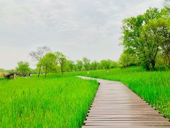 -西溪国家湿地公园