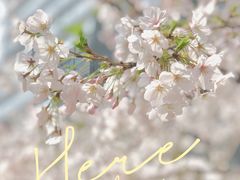 -上海环球金融中心骑迹50年环球之旅