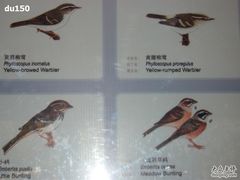 -北京麋鹿生态实验中心