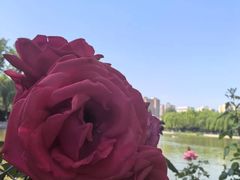 -中国农业博物馆