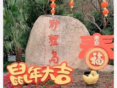 -野狸岛