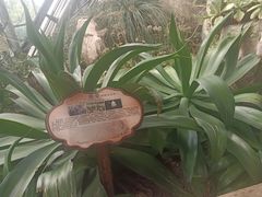-南山植物园