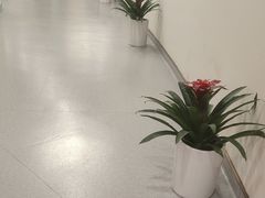 -爱康国宾体检中心(福田分院)