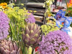 -FEI FEI FLOWER鲜花店·气球派对·宝宝宴布置(虹口德必运动Loft店)