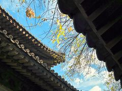 -嵩祝寺及智珠寺