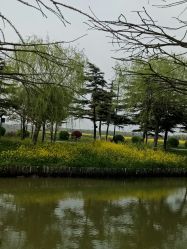 -水八仙生态园