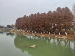 -滆湖低碳生态公园