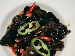 -九毛九西北菜(大东海店)