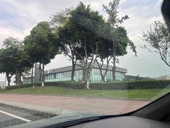-神仙树公园
