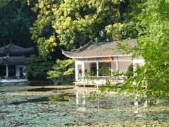 -杭州植物园